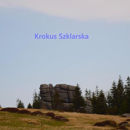 Apartament Krokus Szklarska 斯克拉斯卡波伦巴 外观 照片