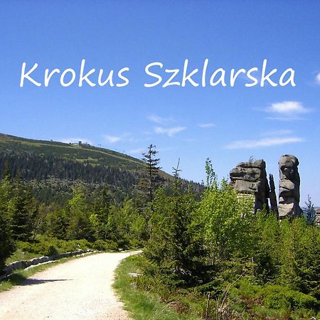 Apartament Krokus Szklarska 斯克拉斯卡波伦巴 外观 照片